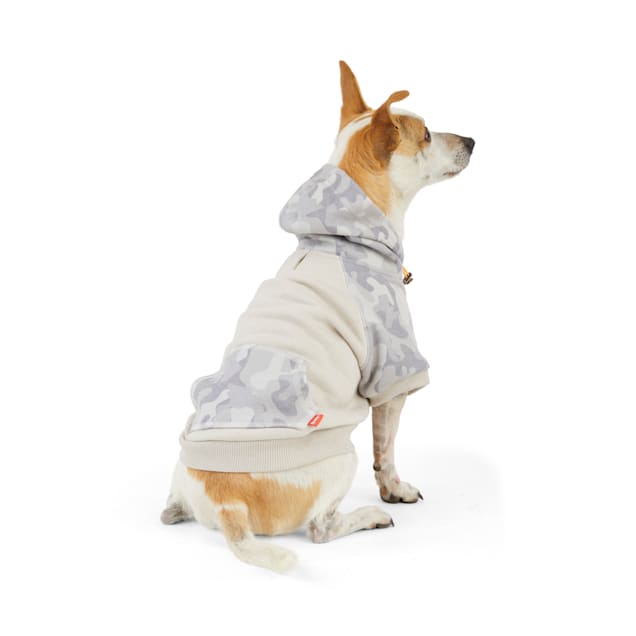 Reddy Grey Camo Colorblocked Dog Hoodie, XSmall Petco