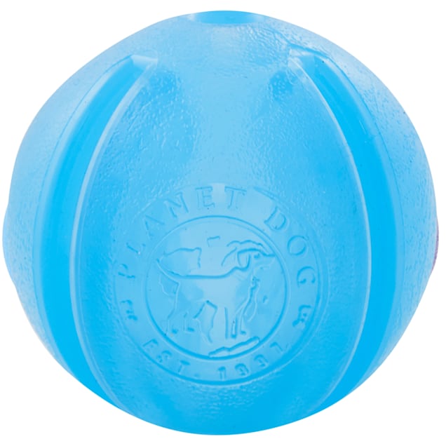 Petco interactive dog shop toys