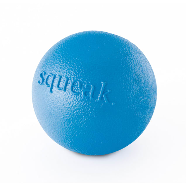Planet Dog Orbee-Tuff Blue Squeak Chew Ball Dog Toy, Medium - Carousel image #1