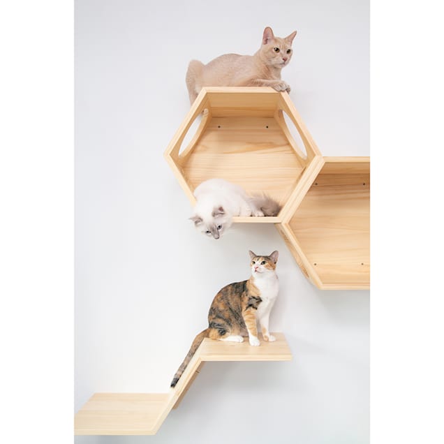 Cat shelf 2025 for food