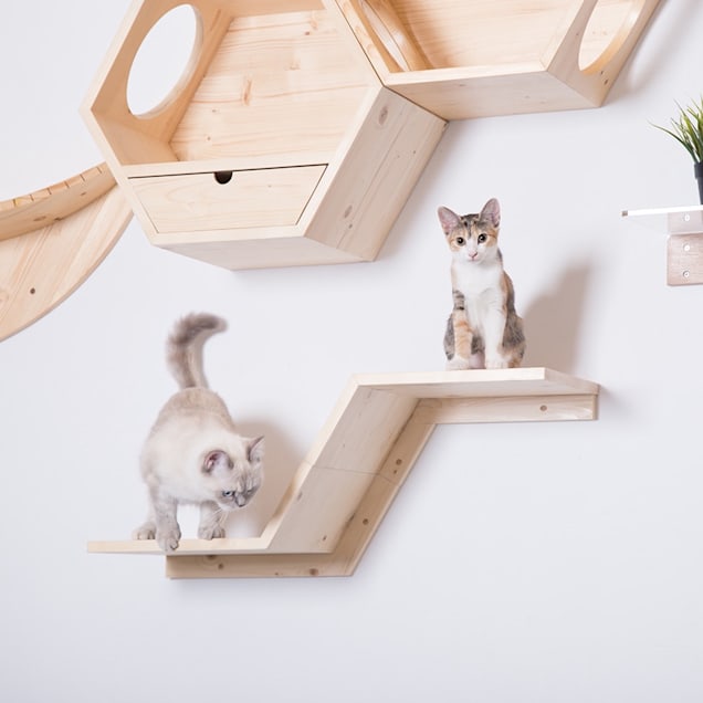 Floating cat perch clearance