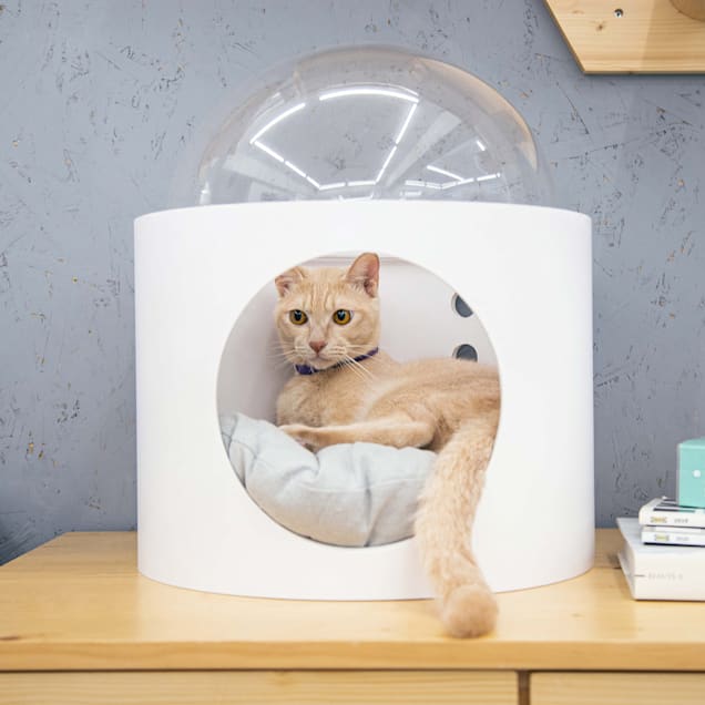 MYZOO AndMakers White Spaceship Gamma Right Wall Mounted Cat Bed | Petco