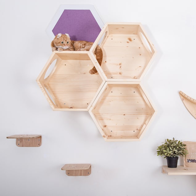 Petco cat shelves cheap
