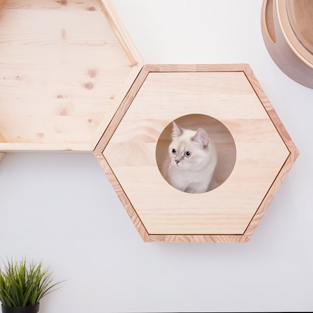 MYZOO AndMakers BusyCat Wall Mounted Cover Plate Cat Shelves - Carousel image #1