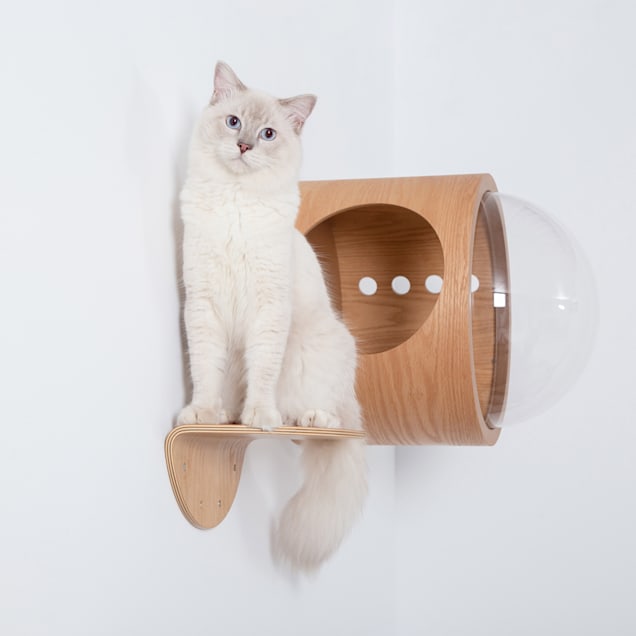 Petco cat shelves top