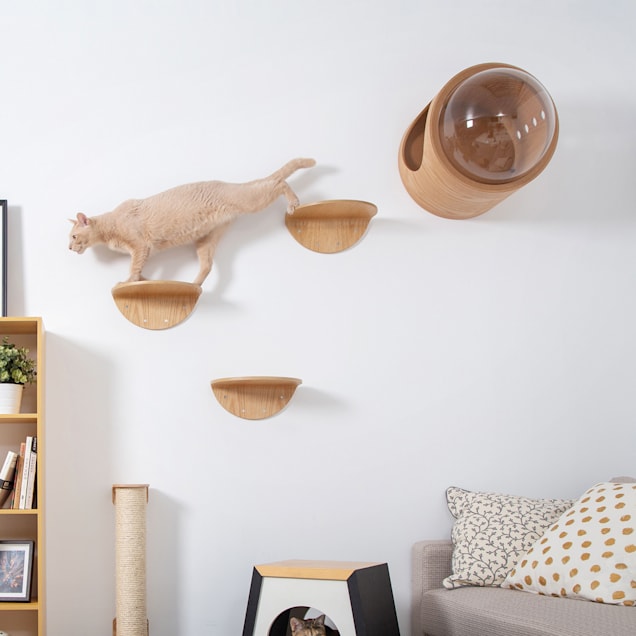 Petco cat shelves best sale