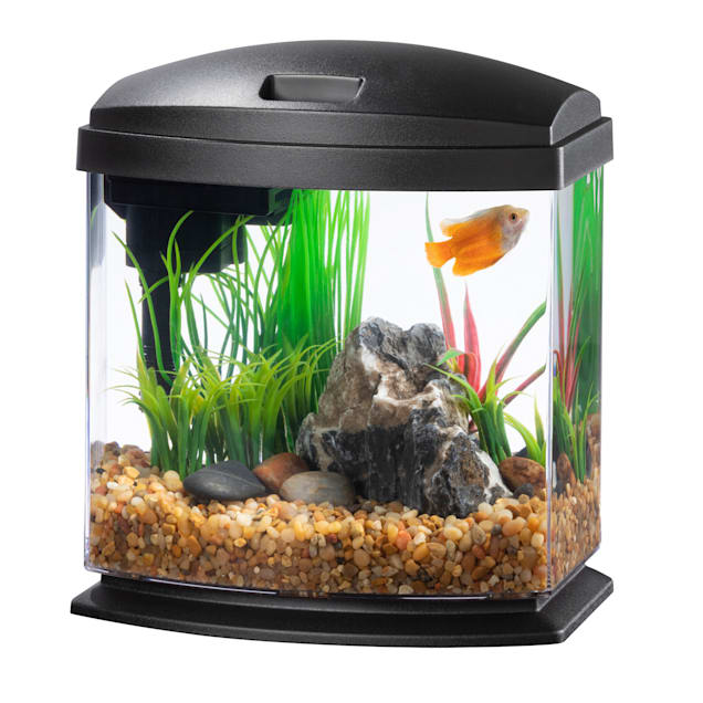 Aqueon LED MiniBow Small Aquarium Fish Tank Kit with SmartClean Technology,  Black, 5 Gallon