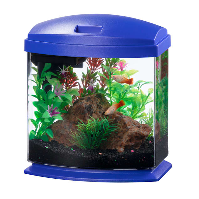 Aqueon Aquarium Starter Kit with LED Lighting, 5.5 Gallon