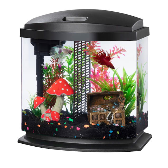  Small Fish Tank 2 Gallon Glass Aquarium Starter Kits