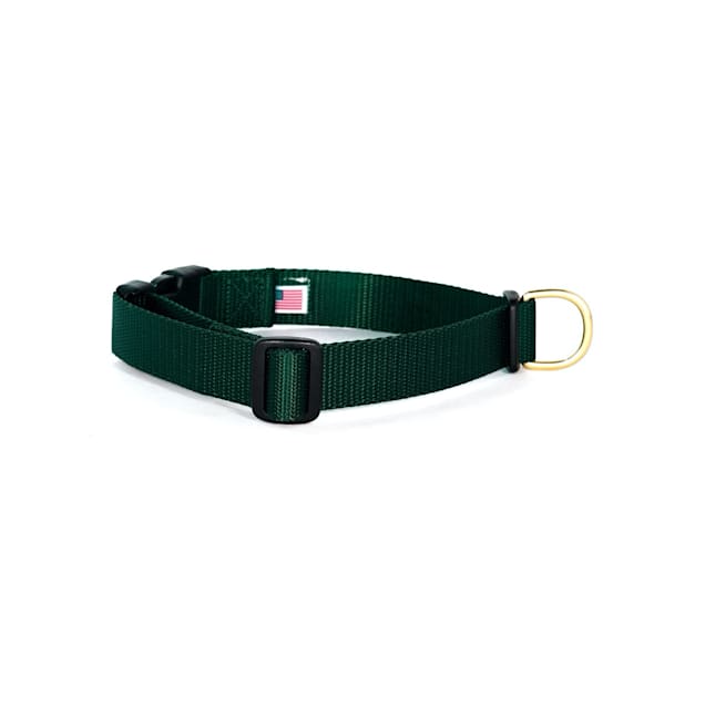 Forest dog collar 2025
