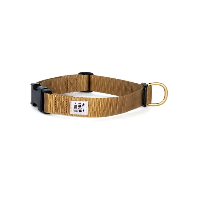 Dog + Bone Gold Snap Dog Collar, Small - Carousel image #1