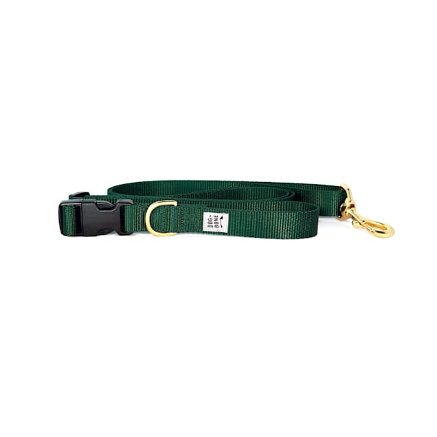 Hands free deals leash petco