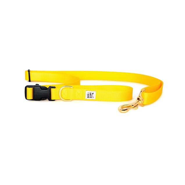  Yellow Dog Design Fleur De Lis Gold Dog Leash 3/4 Wide and 5'  (60) Long, Small/Medium : Pet Supplies