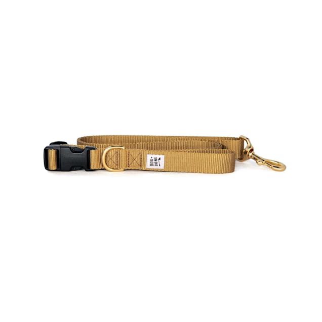 Hands free leash petco online