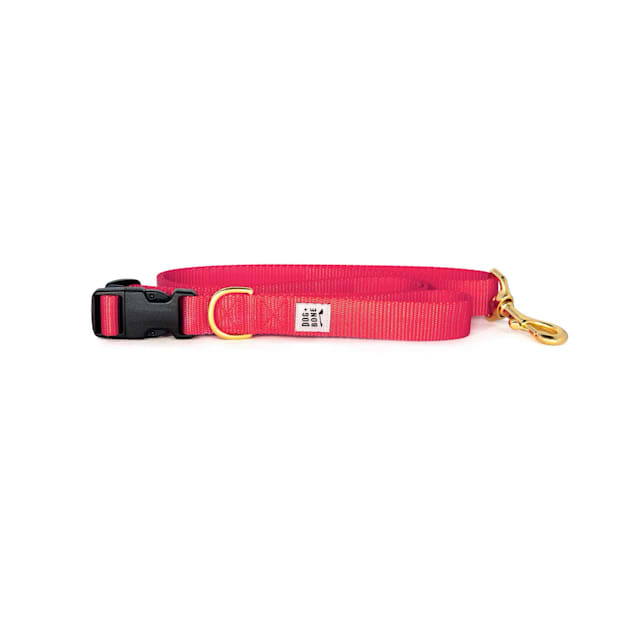 Punch dog collar