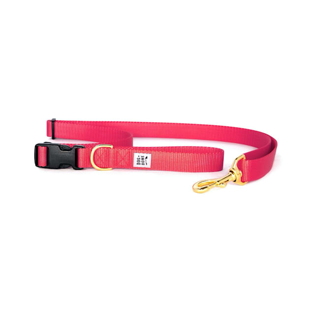 Dog plus bone clearance collars
