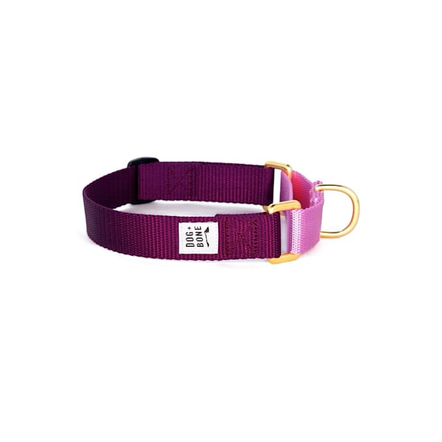 Dog + Bone Purple & Orchid Martingale Dog Collar, Small - Carousel image #1