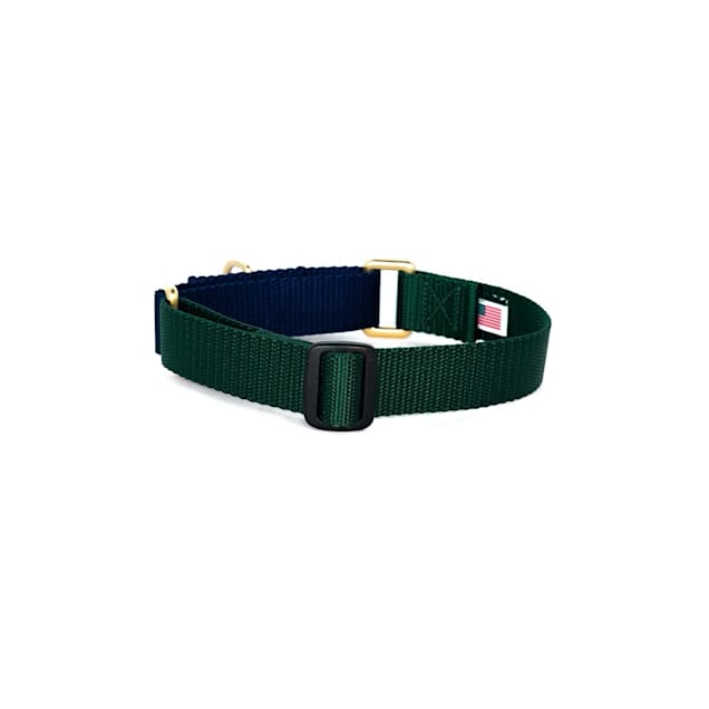 Martingale dog collar petco clearance