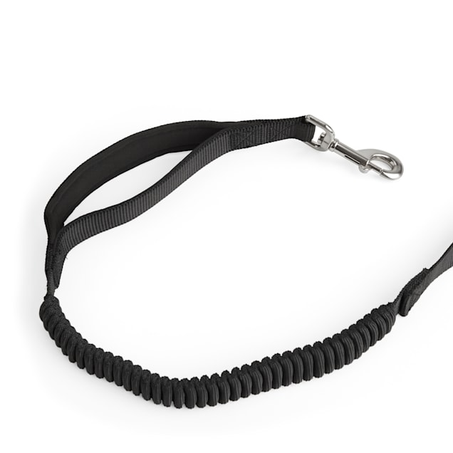Shock leash deals