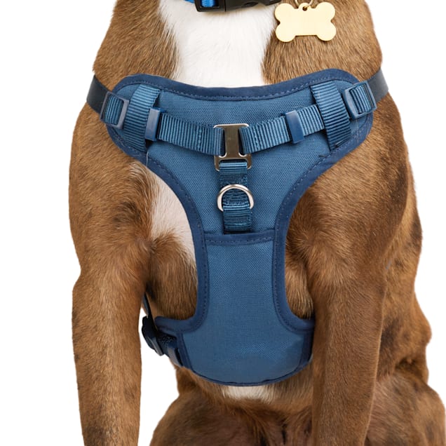Step thru dog harness cheap