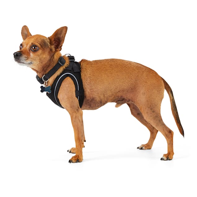 Petco sales mesh harness