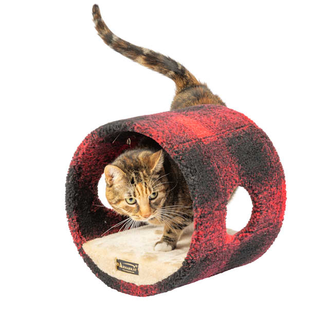 Petco cat tunnel outlet