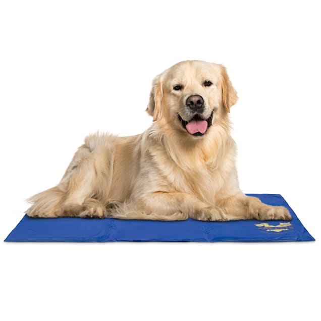 Arf Pets Pet Dog Self Cooling Solid Gel Mat Pad for Kennels, Crates and  Beds, 35 L X 23 W