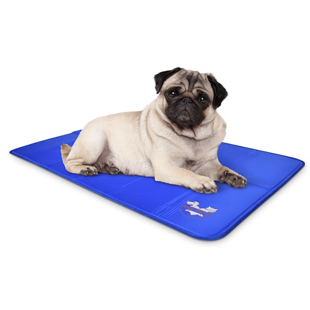 Arf Pets Pet Dog Self Cooling Solid Gel Mat Pad for Kennels, Crates and  Beds, 35 L X 23 W