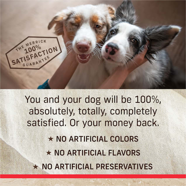 Diamond naturals real meat recipe hotsell premium specialty dry dog food