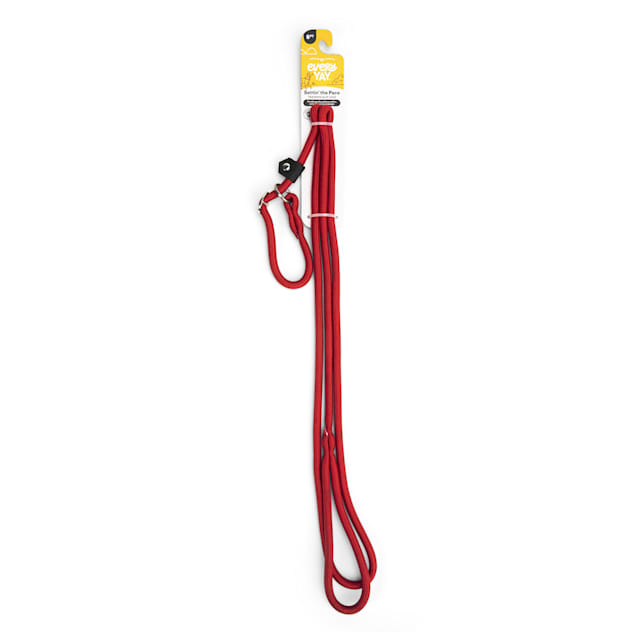 Good2Go Red Nylon Rope Dog Slip Leash