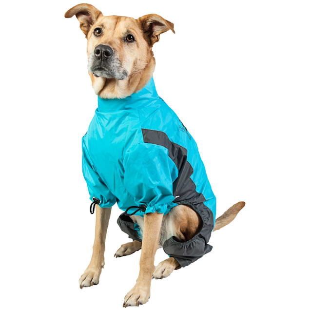 Anti static dog jacket discount