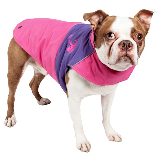 petco dog jacket