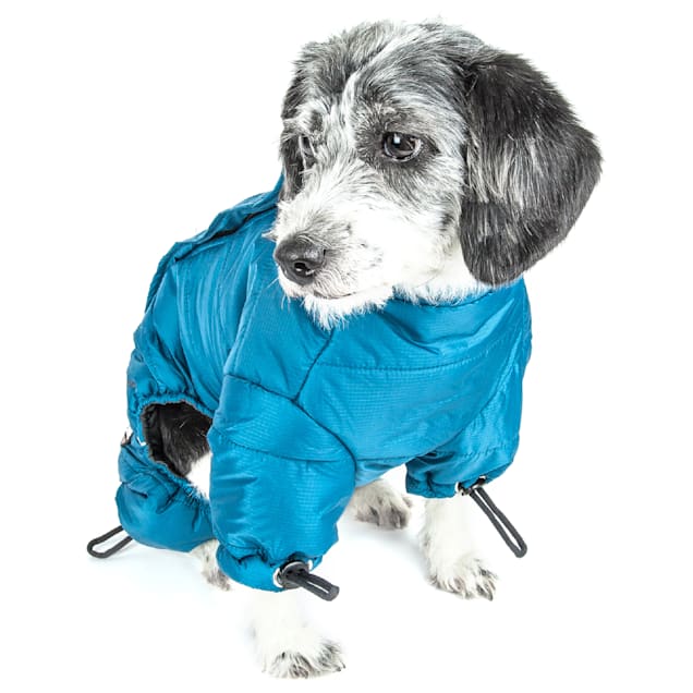 Thunder jacket petco new arrivals
