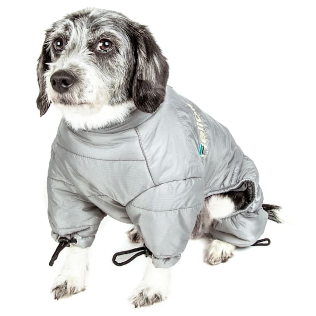 Thunder jacket petco online
