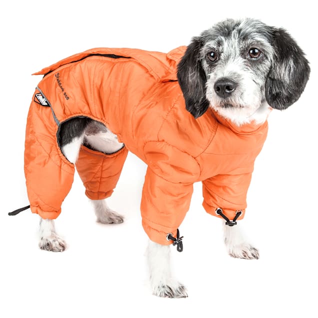 Thunder jacket small dog clearance