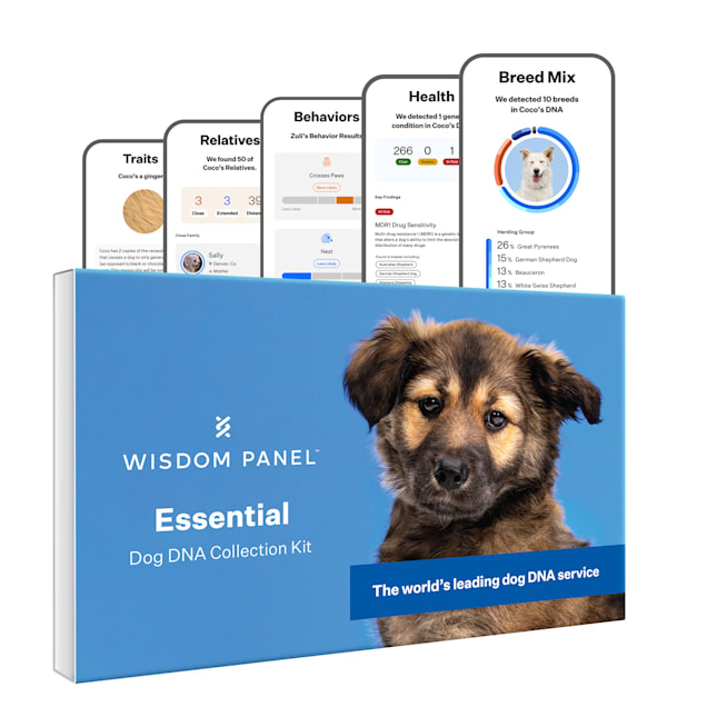 Wisdom Panel Essential Dog DNA Test Kit