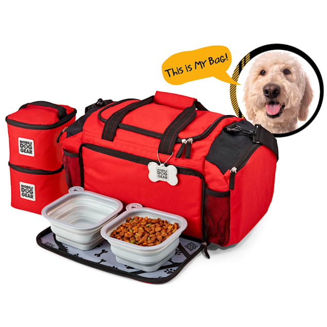 Overland dog sales gear day away