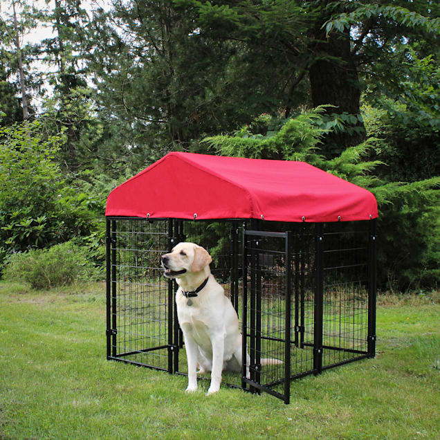 Lucky Dog Pet Resort Kennel Kit With Sunbrella Firehouse Red Cover 48 L X 48 W X 52 H Petco