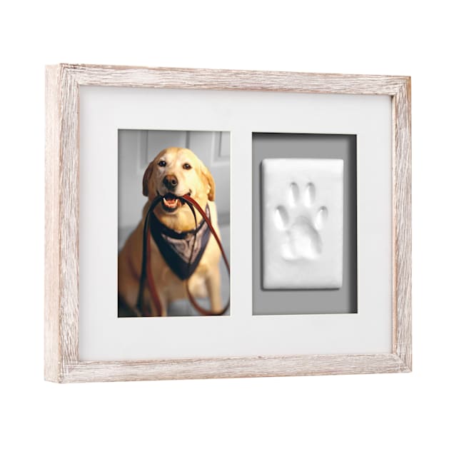 Paw print kit petco cheap