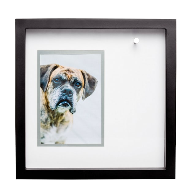 Pet collar frame sale