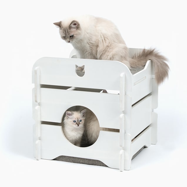 Vesper cat furniture website sale