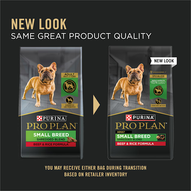 High protein small breed dog deals food
