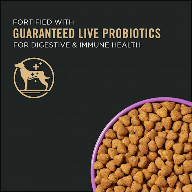 High protein 27 dog food discount