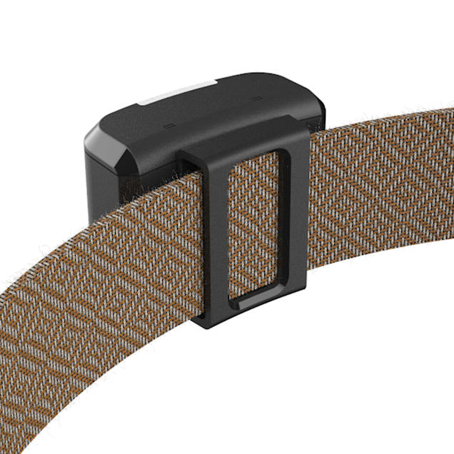 Wagz Freedom Smart Dog Collar