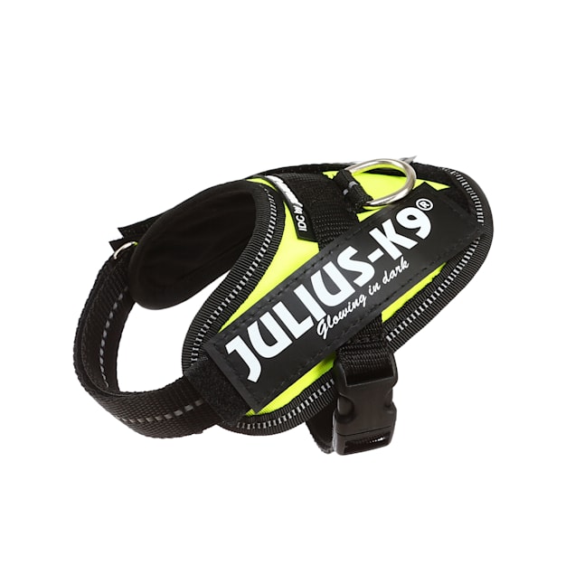 Julius K9 UV Neon Green Dog Harness 3X Small Petco