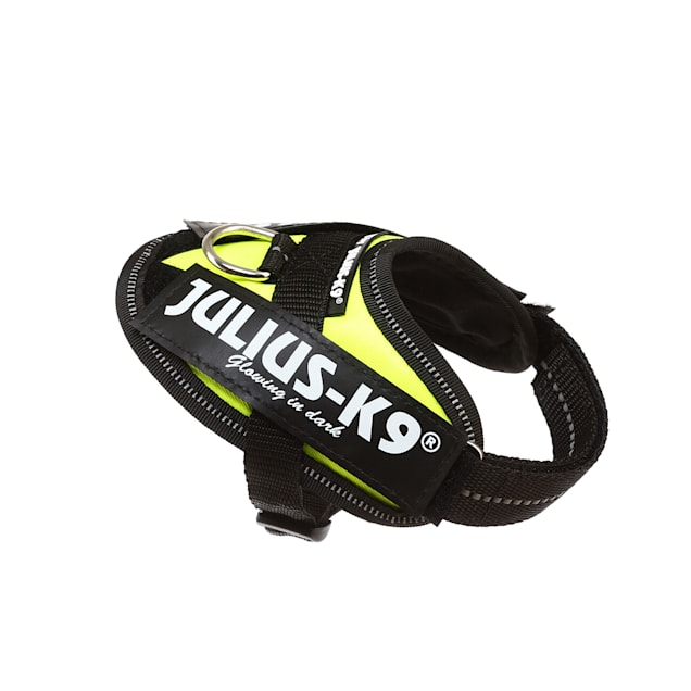 Julius k9 harness baby 2 hot sale