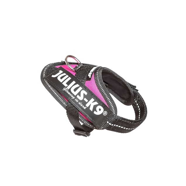 Pets at home julius k9 mini top