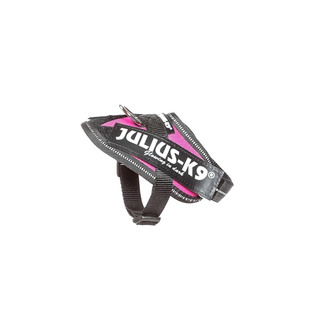 Pink julius k9 harness store