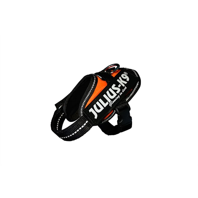 Julius-K9 UV Orange Dog Harness, 3X-Small