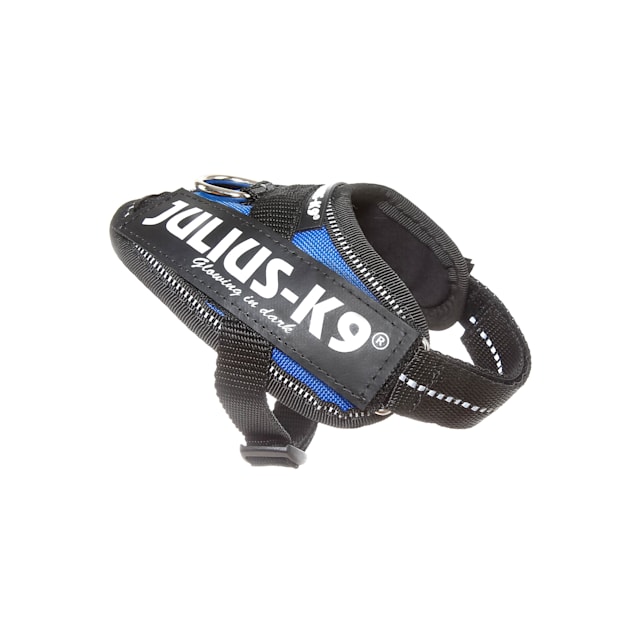 Julius k9 blue top